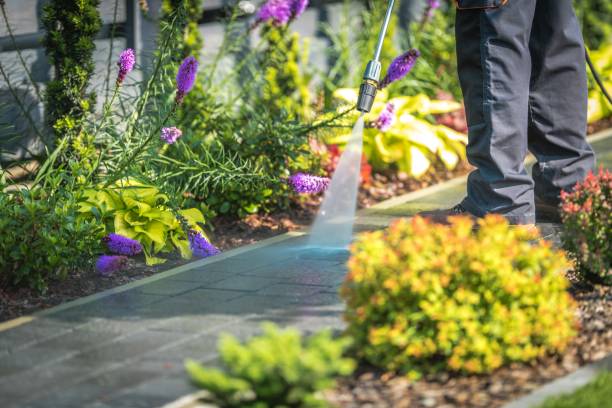 Best Dumpster Area Cleaning  in Canonsburg, PA